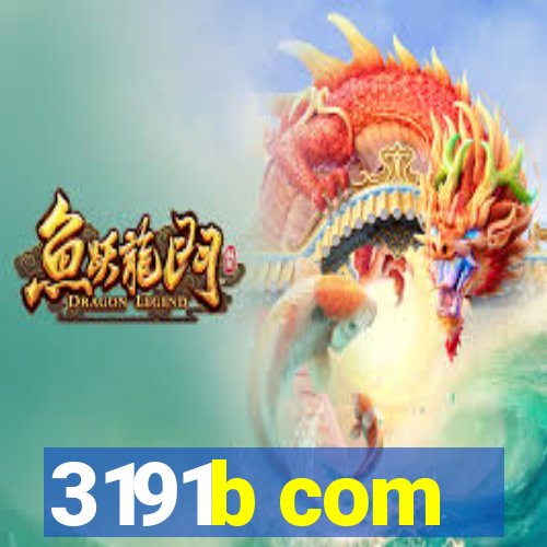 3191b com